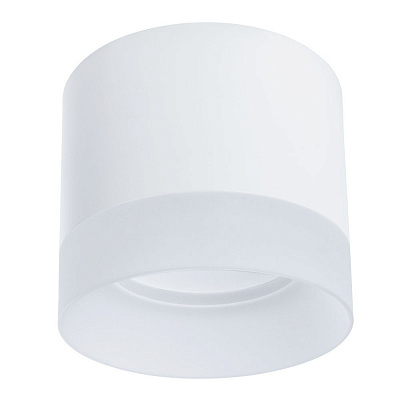Потолочный светильник Arte Lamp CASTOR A5554PL-1WH