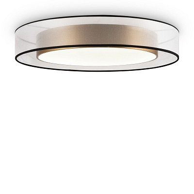 Накладная люстра Freya Zoticus / Зотикус FR6005CL-L48G