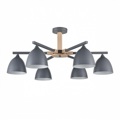 Люстра на штанге LUMION COLANGE 8096/6C