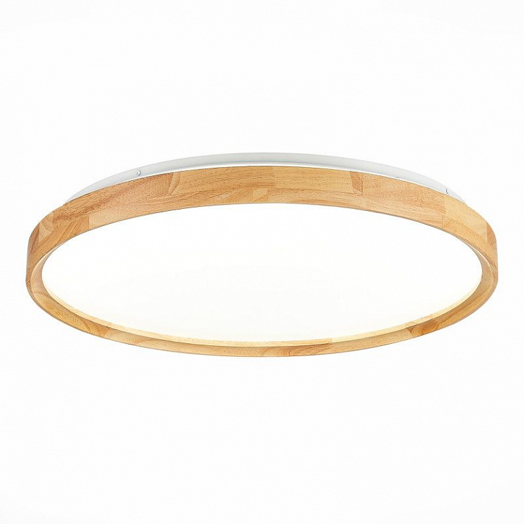 Потолочный светильник Evoluce Delia / Делиа SLE201382-01