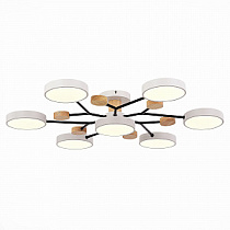 Люстра на штанге EVOLUCE FAEMA / ФАЕМА SLE6006-502-07